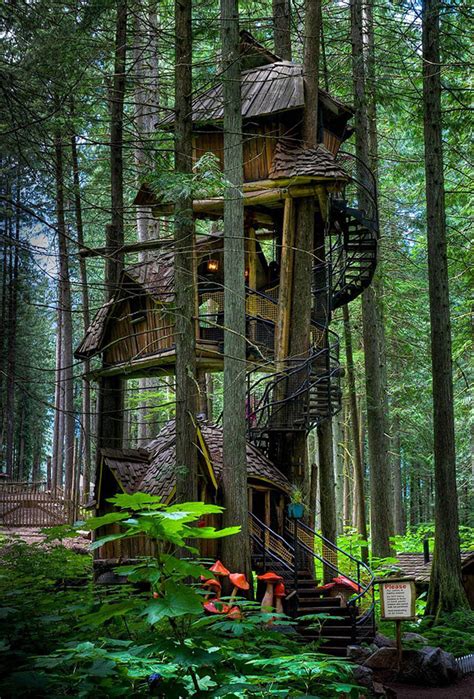 Watergont treehouse in a magical forest